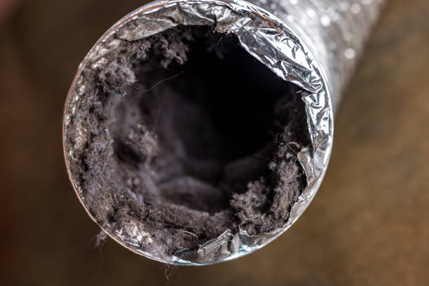 Best Air Vent Cleaning Services  in Clear Lake, SD